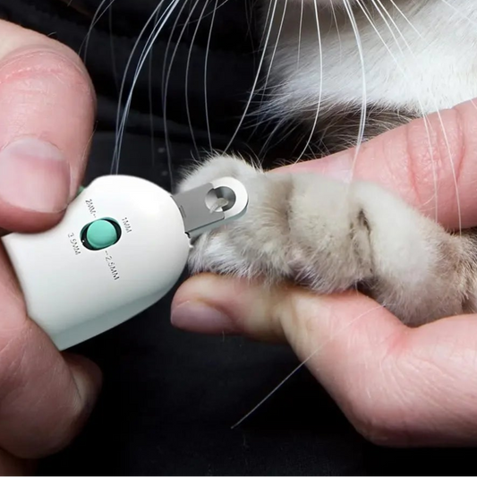 Professional Pet Nail Clippers